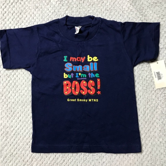 Great Smokey Mtn Blue T-Shirt/3T - Picture 1 of 4